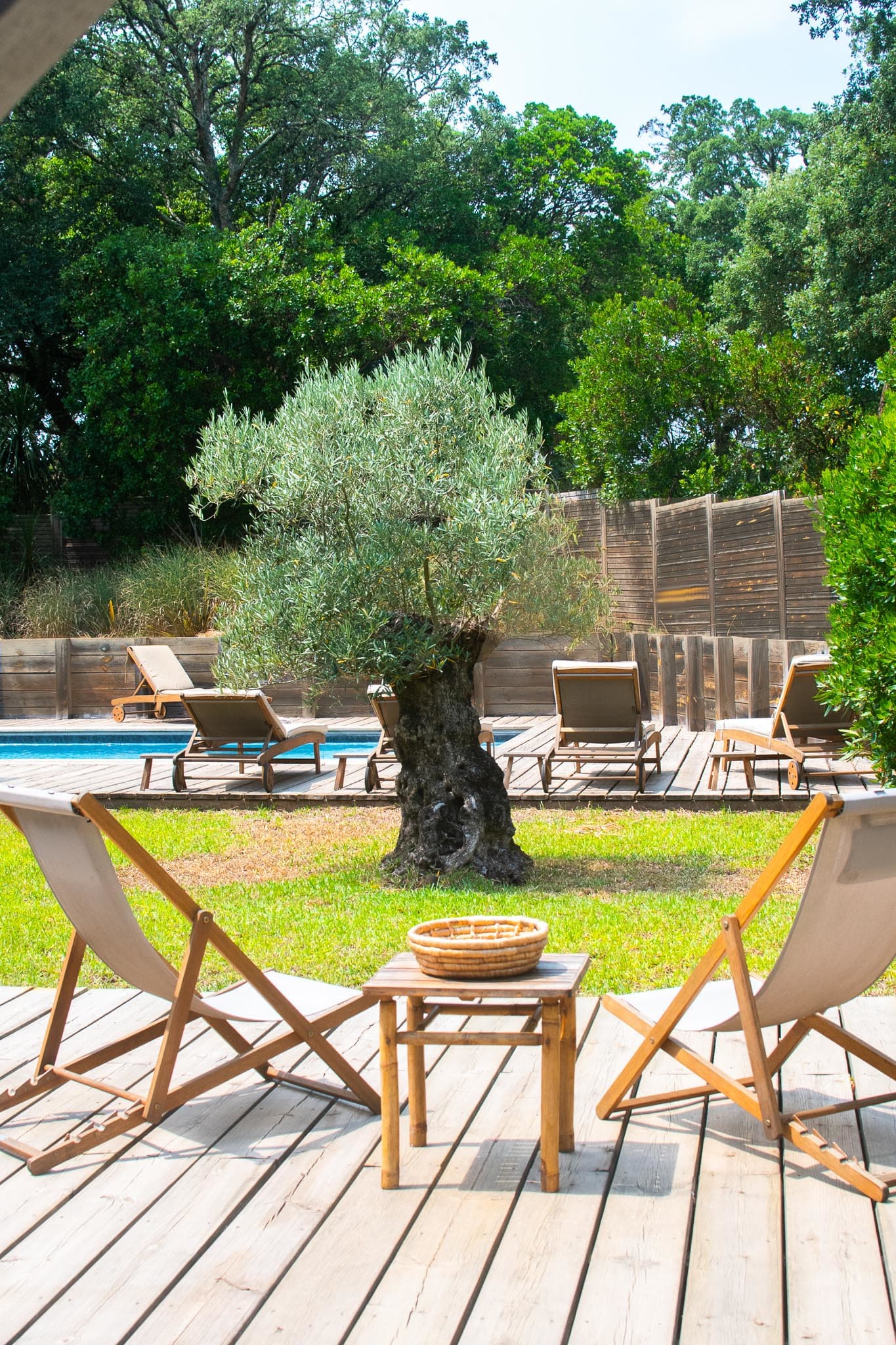 The pool and terrace